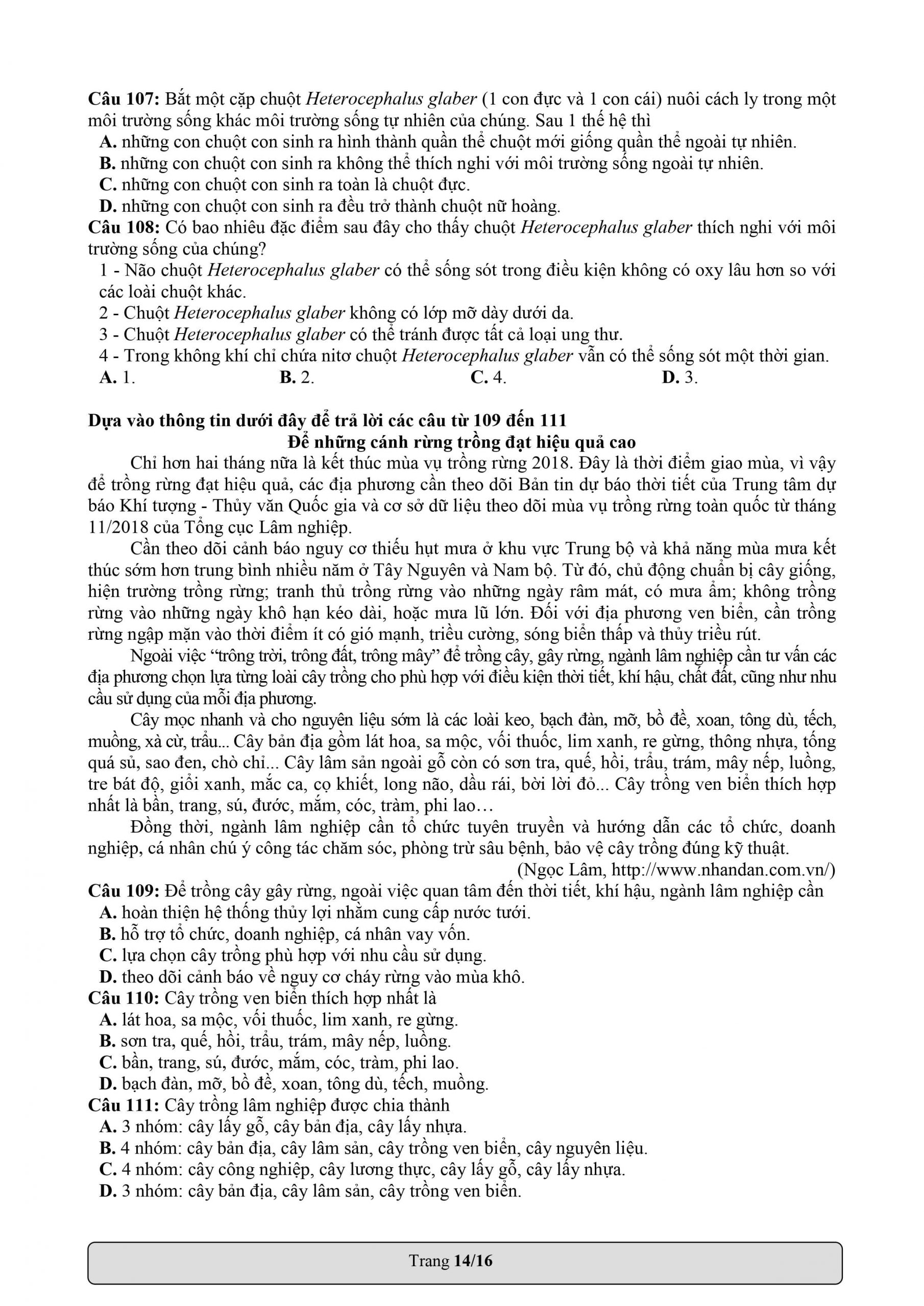 Câu 107 đến câu 111 trong phần giải quyết vấn đề